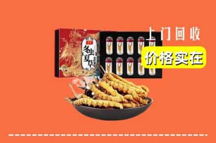 梧州市龙圩回收虫草